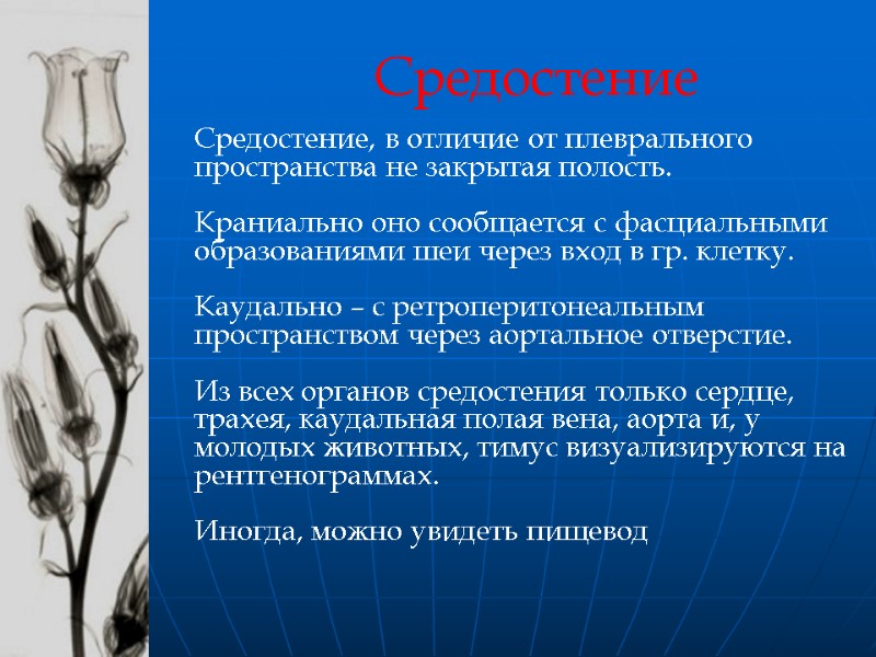 Средостение, в отличие от плеврального пространства не закрытая полость.   Краниально оно сообщается